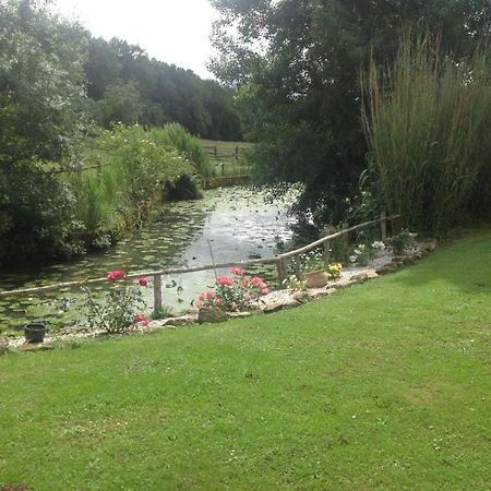 chateau le poiron Bed & Breakfast Pissotte Exterior foto